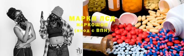сатива Волоколамск