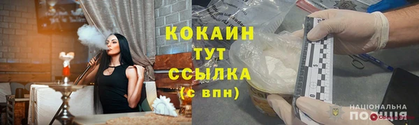 прущие грибы Володарск