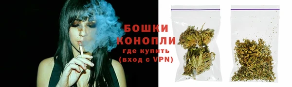 сатива Волоколамск