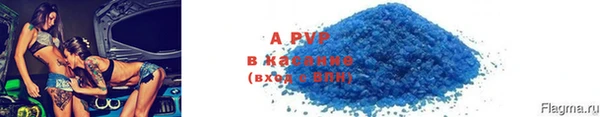 прущие грибы Володарск