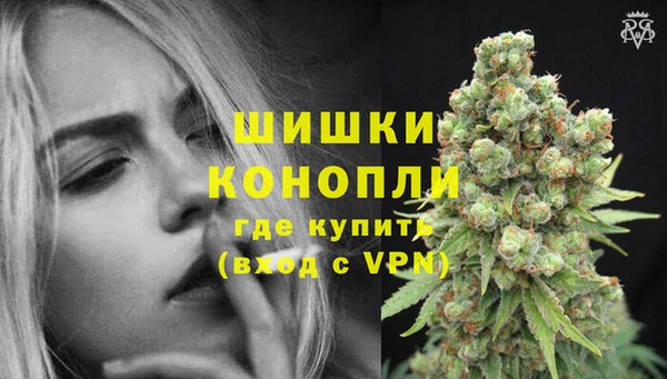 сатива Волоколамск