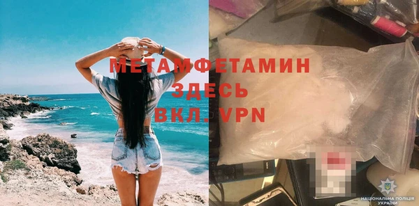 прущие грибы Володарск