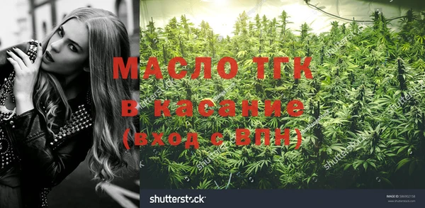 сатива Волоколамск