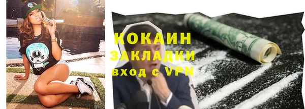прущие грибы Володарск
