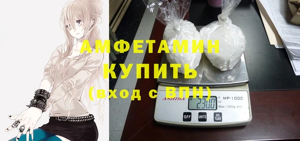 сатива Волоколамск